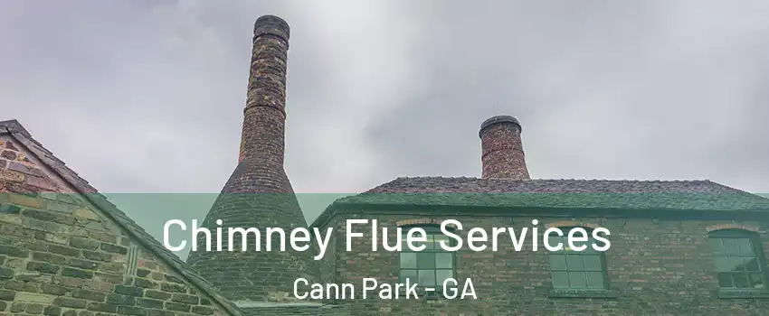 Chimney Flue Services Cann Park - GA