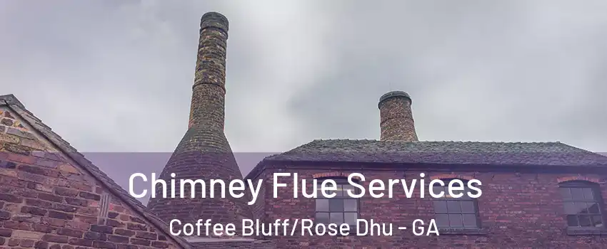 Chimney Flue Services Coffee Bluff/Rose Dhu - GA