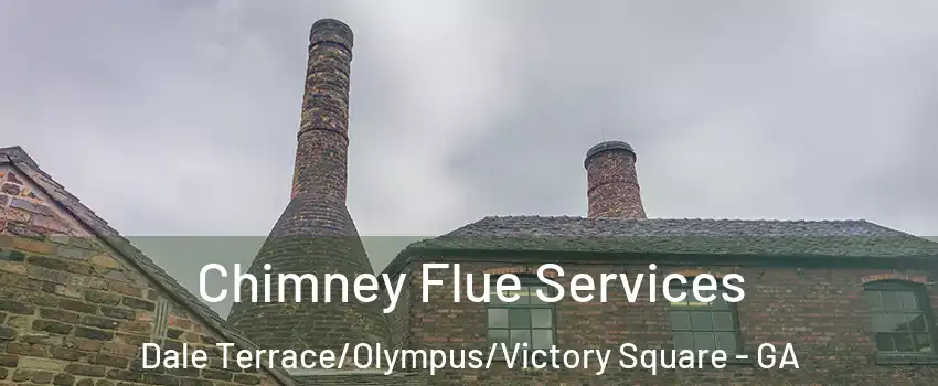 Chimney Flue Services Dale Terrace/Olympus/Victory Square - GA