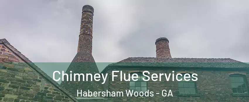 Chimney Flue Services Habersham Woods - GA