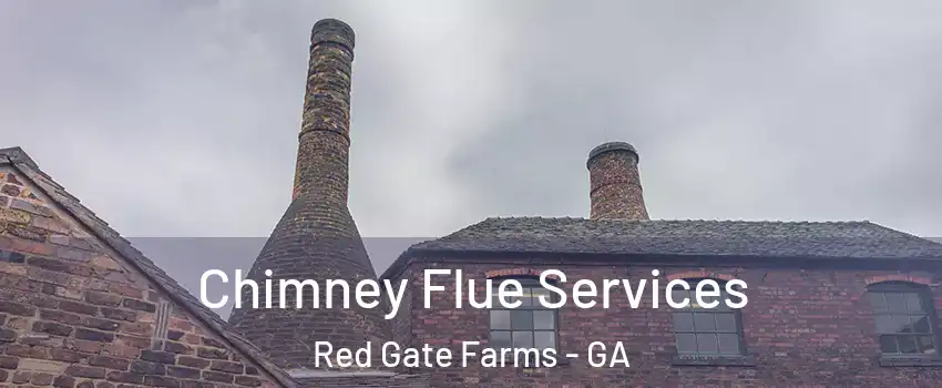 Chimney Flue Services Red Gate Farms - GA