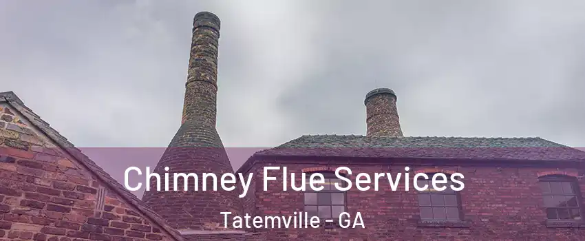 Chimney Flue Services Tatemville - GA