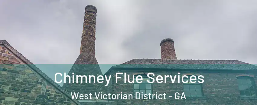 Chimney Flue Services West Victorian District - GA