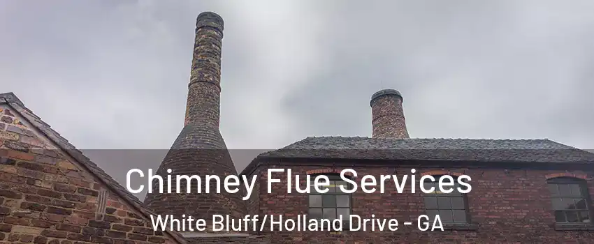 Chimney Flue Services White Bluff/Holland Drive - GA