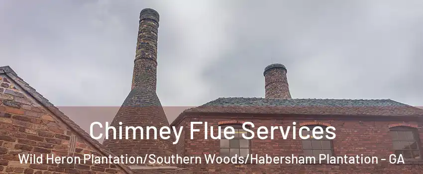 Chimney Flue Services Wild Heron Plantation/Southern Woods/Habersham Plantation - GA