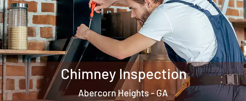 Chimney Inspection Abercorn Heights - GA