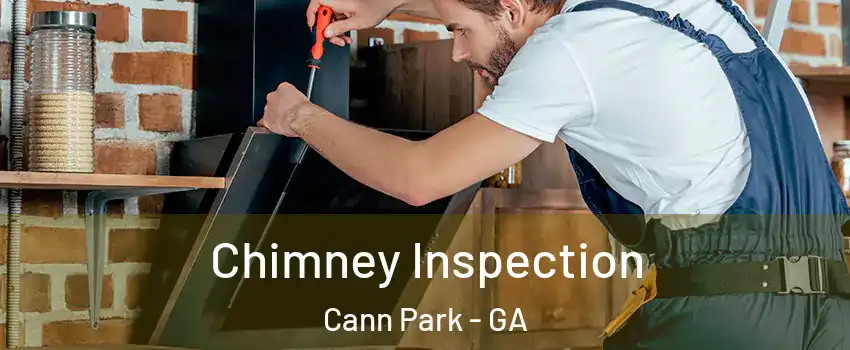 Chimney Inspection Cann Park - GA