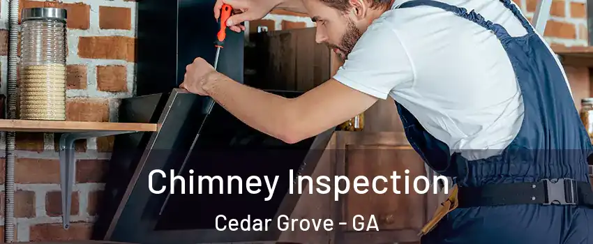Chimney Inspection Cedar Grove - GA