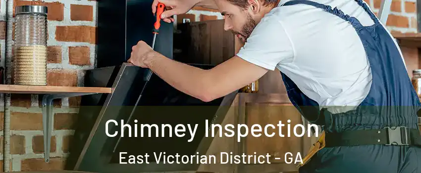 Chimney Inspection East Victorian District - GA