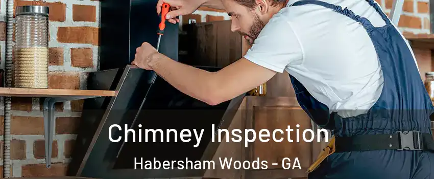 Chimney Inspection Habersham Woods - GA