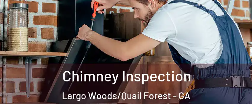 Chimney Inspection Largo Woods/Quail Forest - GA