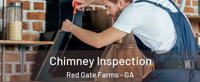 Chimney Inspection Red Gate Farms - GA