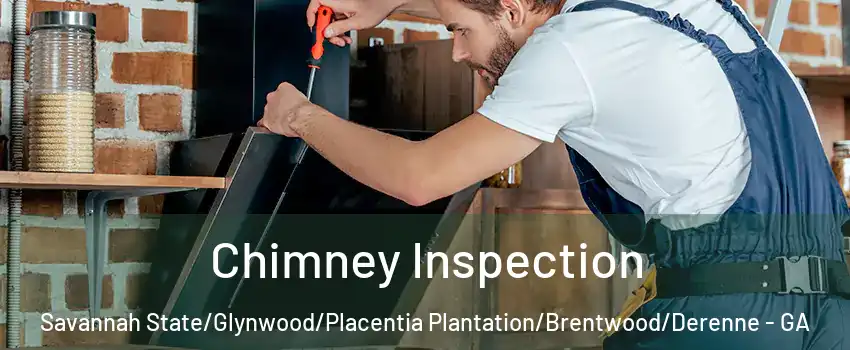 Chimney Inspection Savannah State/Glynwood/Placentia Plantation/Brentwood/Derenne - GA