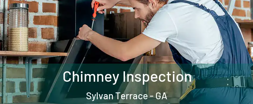 Chimney Inspection Sylvan Terrace - GA
