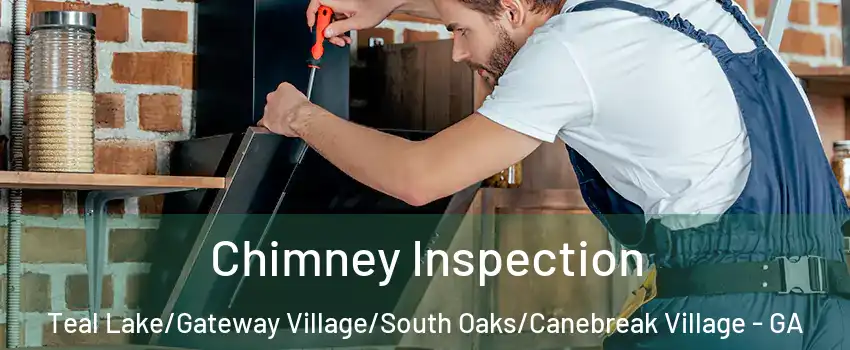 Chimney Inspection Teal Lake/Gateway Village/South Oaks/Canebreak Village - GA