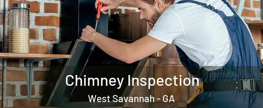 Chimney Inspection West Savannah - GA