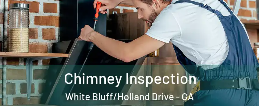 Chimney Inspection White Bluff/Holland Drive - GA