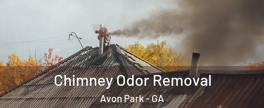 Chimney Odor Removal Avon Park - GA