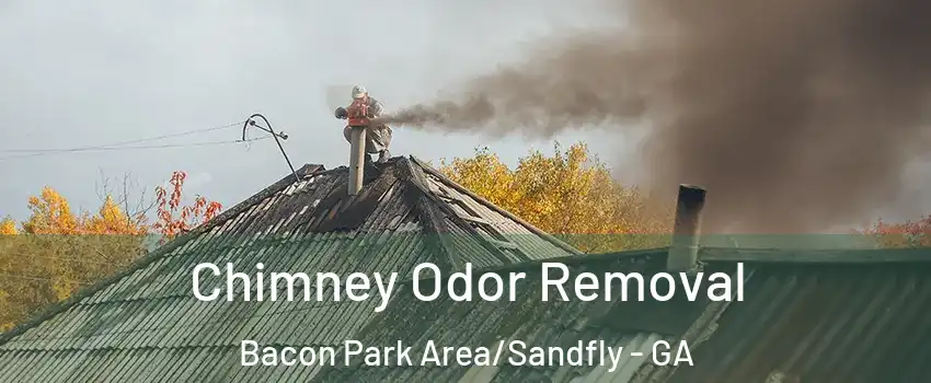 Chimney Odor Removal Bacon Park Area/Sandfly - GA