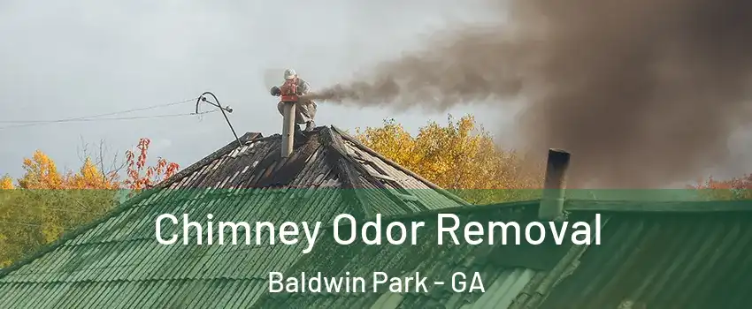 Chimney Odor Removal Baldwin Park - GA
