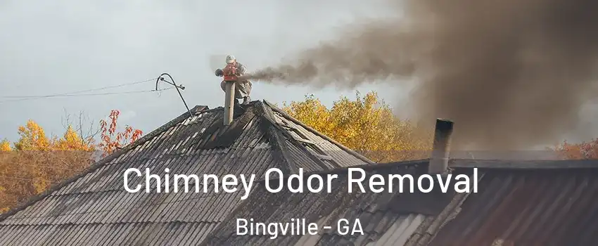 Chimney Odor Removal Bingville - GA