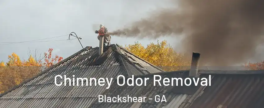 Chimney Odor Removal Blackshear - GA