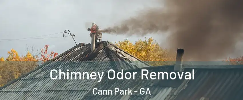 Chimney Odor Removal Cann Park - GA
