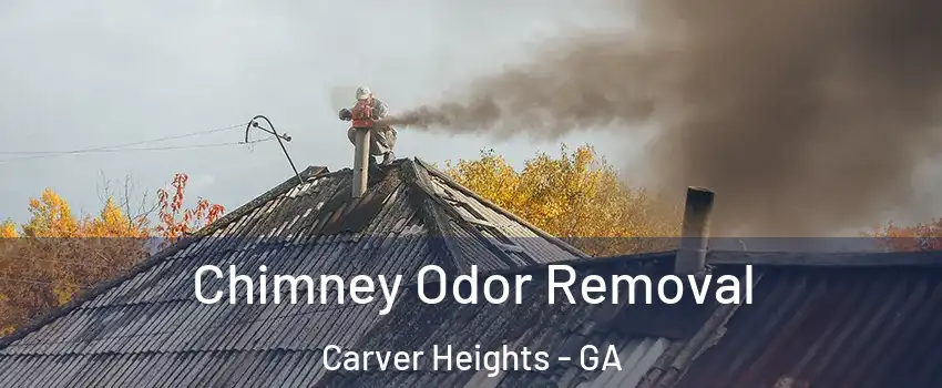 Chimney Odor Removal Carver Heights - GA