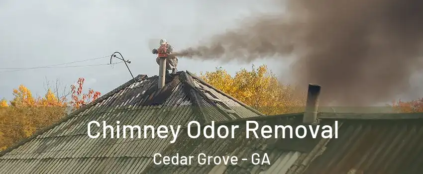 Chimney Odor Removal Cedar Grove - GA