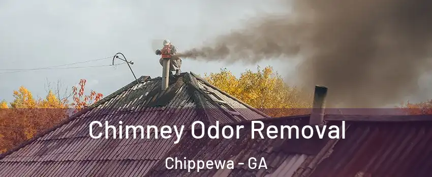 Chimney Odor Removal Chippewa - GA