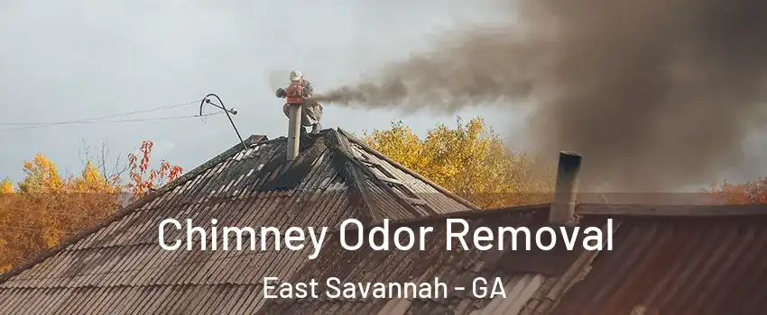 Chimney Odor Removal East Savannah - GA
