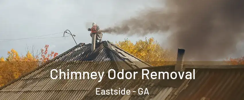 Chimney Odor Removal Eastside - GA