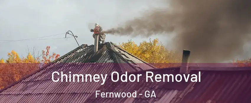 Chimney Odor Removal Fernwood - GA