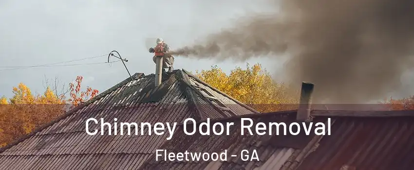 Chimney Odor Removal Fleetwood - GA