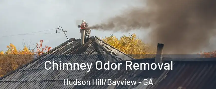 Chimney Odor Removal Hudson Hill/Bayview - GA