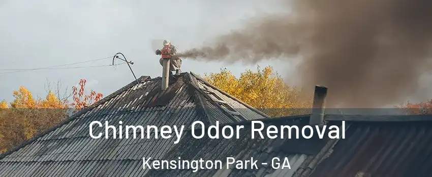 Chimney Odor Removal Kensington Park - GA