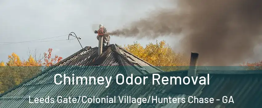 Chimney Odor Removal Leeds Gate/Colonial Village/Hunters Chase - GA