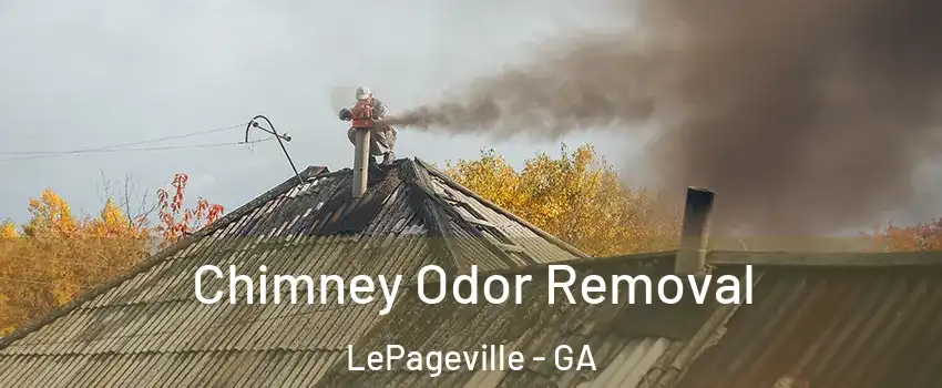 Chimney Odor Removal LePageville - GA