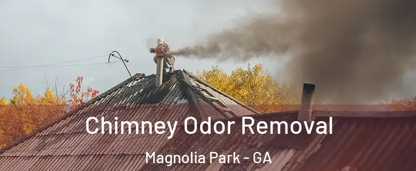 Chimney Odor Removal Magnolia Park - GA