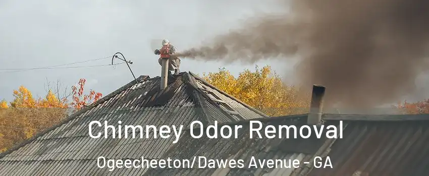Chimney Odor Removal Ogeecheeton/Dawes Avenue - GA