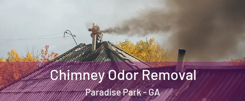 Chimney Odor Removal Paradise Park - GA