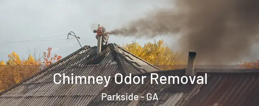 Chimney Odor Removal Parkside - GA