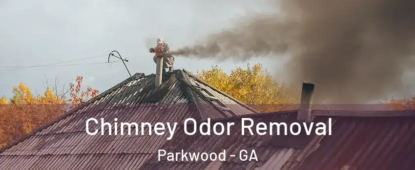 Chimney Odor Removal Parkwood - GA