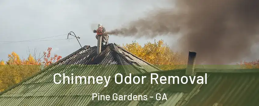 Chimney Odor Removal Pine Gardens - GA