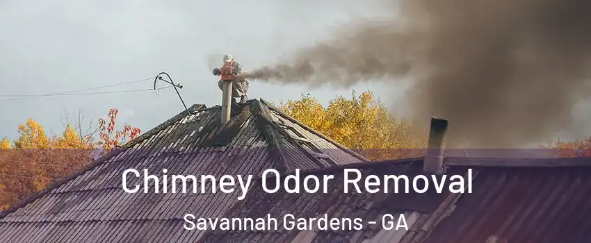 Chimney Odor Removal Savannah Gardens - GA