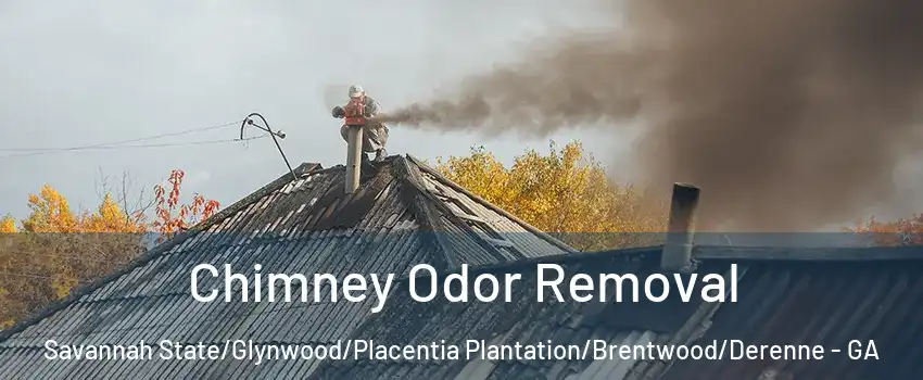 Chimney Odor Removal Savannah State/Glynwood/Placentia Plantation/Brentwood/Derenne - GA
