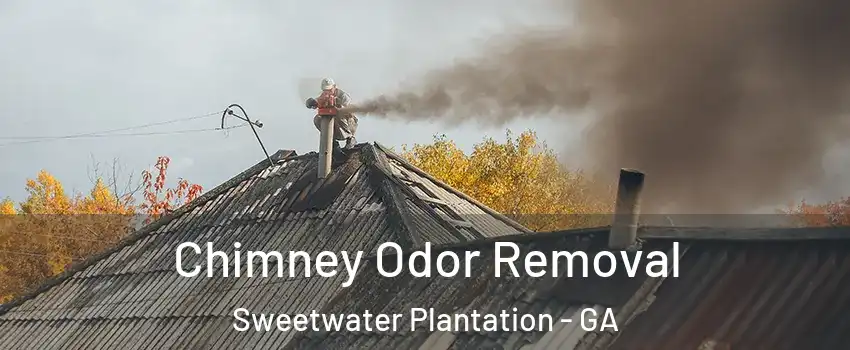 Chimney Odor Removal Sweetwater Plantation - GA