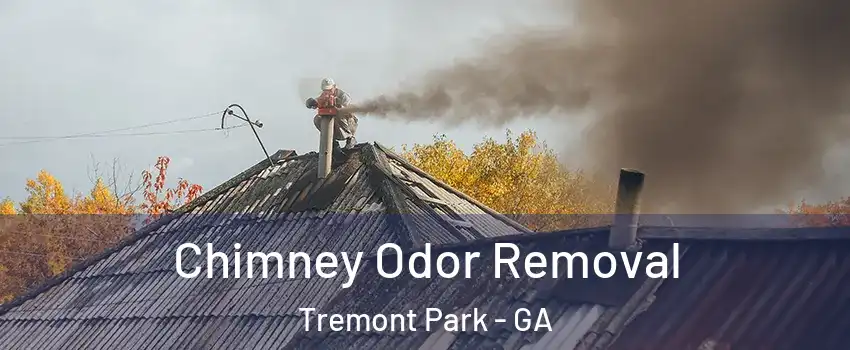 Chimney Odor Removal Tremont Park - GA
