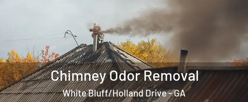 Chimney Odor Removal White Bluff/Holland Drive - GA