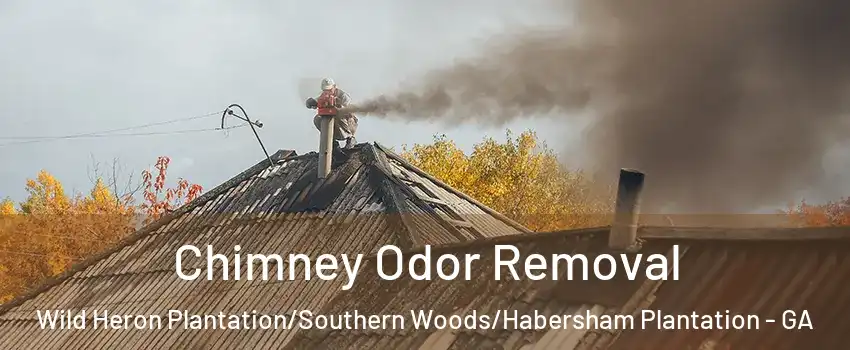 Chimney Odor Removal Wild Heron Plantation/Southern Woods/Habersham Plantation - GA